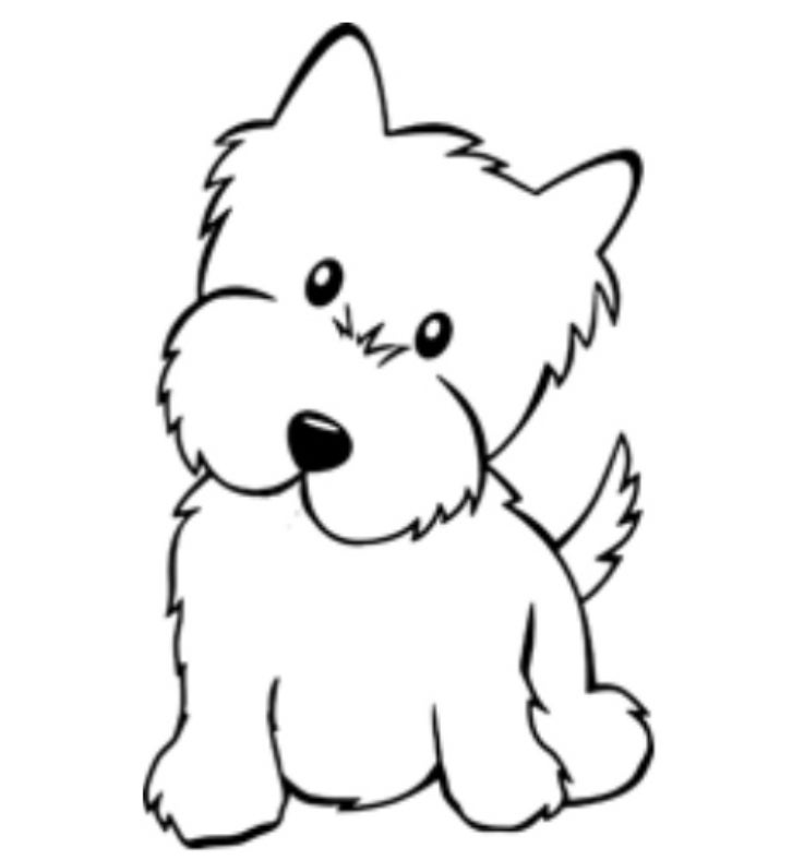 Floof Pet Grooming photo 10